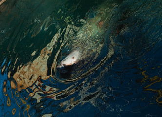couple playing with a dog
