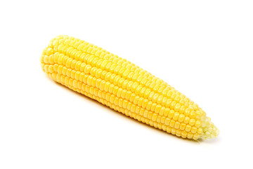Corn on the cob on a white background.