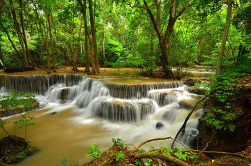 Cascade Waterfalls in Green Forests