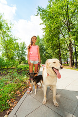 Teenage girl walk dogs in park