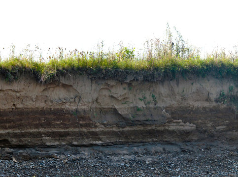 Layer Of Soil