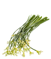 Obraz premium Garlic chives