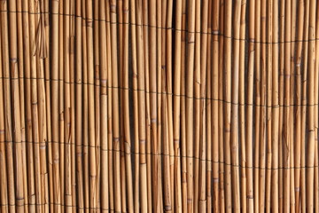 Bamboo background