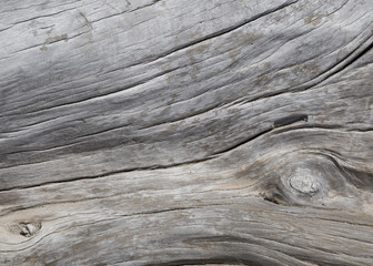 Naklejka premium Natural driftwood close up texture background