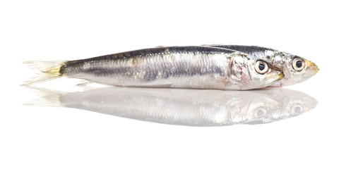 Sardinillas