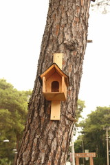 bird house on tree