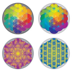 Ensemble Symboles Fleur de Vie - Multicolore