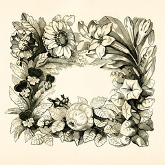 Frame of flowers with a old paper background