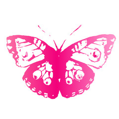 butterflies design