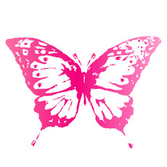 butterflies design