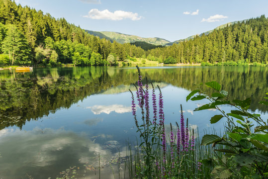 Karagol (Black Lake), Artvin