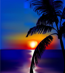 Sunset on sea with palm. Vector