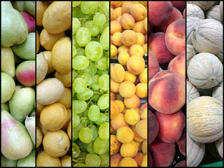 collage fruits
