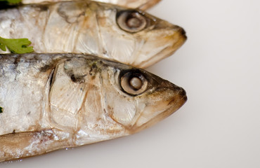 Fresh sardines with parsley leaves
