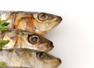Fresh sardines with parsley leaves