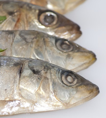 Fresh sardines with parsley leaves