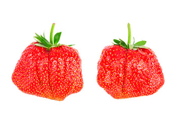 Fresh ripe strawberries on a white background isolated
