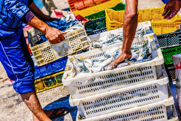 Obraz premium Fishermen arranging containers with fish
