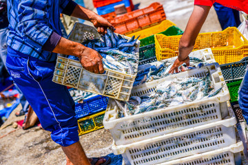 Fishermen arranging containers with fish