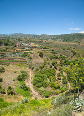 Fototapeta na wymiar Gran Canaria, Barranco de Santa Brigida