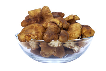 chanterelles in glass bowl