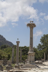 Ephesus or Efes Ancient Greco-Roman City, Turkey