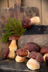 Mushroom Boletus over Wooden Background