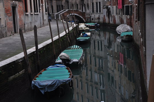 venezia