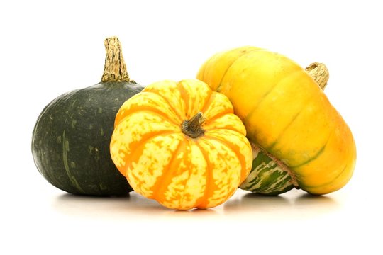 Group of autumn squash over a white background