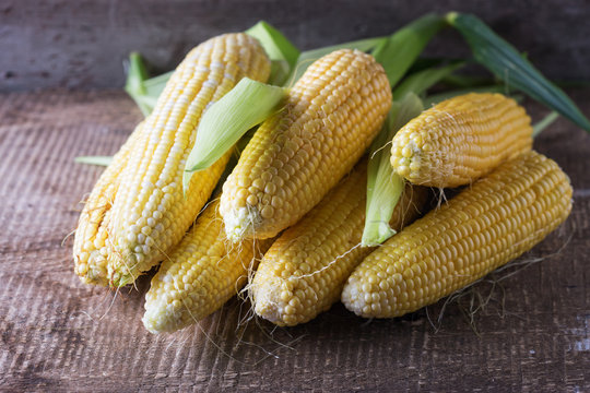 Fresh sweet corn