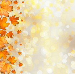 Orange autumnal branch of  tree on abstract background with boke