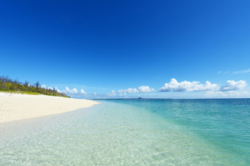 南国沖縄の綺麗な珊瑚の海と夏空