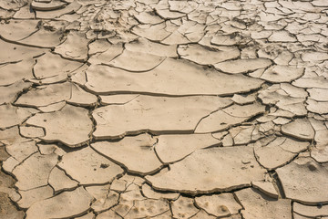 Drought, cracked earth