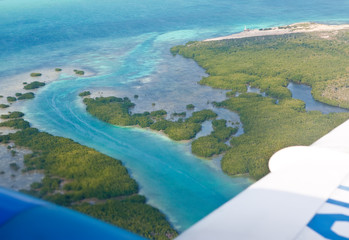 The sea coast in tropics. Aerial view.