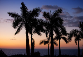 Fototapeta na wymiar Sunset over the sea. Cuba