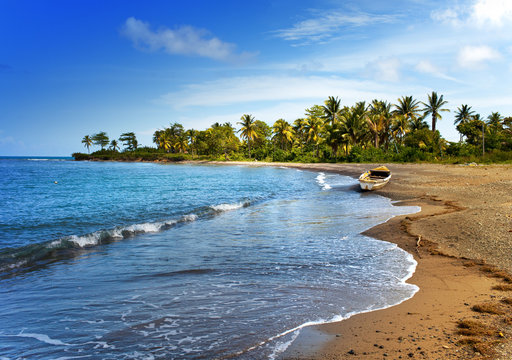 Jamaica. A National Boat On Sandy Coast Of A Bay