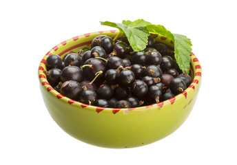 Black currant