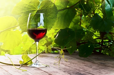 Cercles muraux Vin vin rouge
