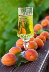 Sweet wine and ripe apricots