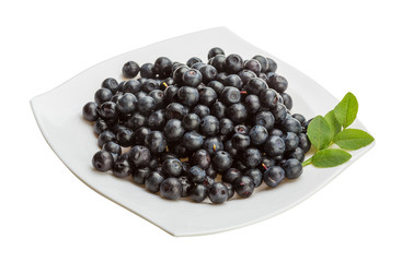 Blueberry