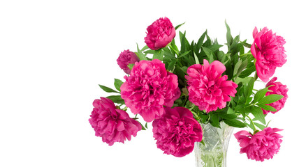 Obraz premium Beautiful bouquet of pink peonies on a white background isolated