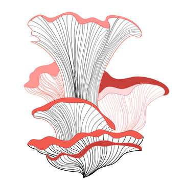 graphic mushrooms