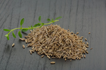 Zia seeds