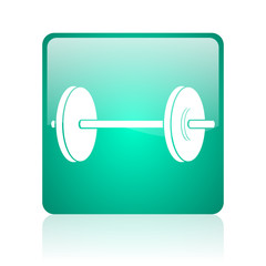 fitness internet icon