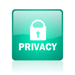 privacy internet icon