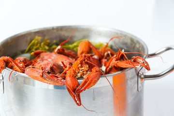 Boiled crayfish in pan