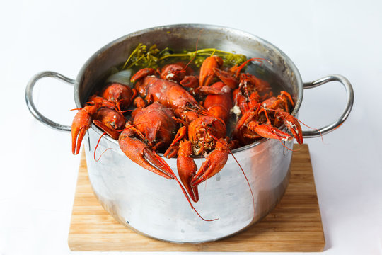 Boiled crayfish in pan