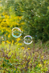 soap bubble outdoor