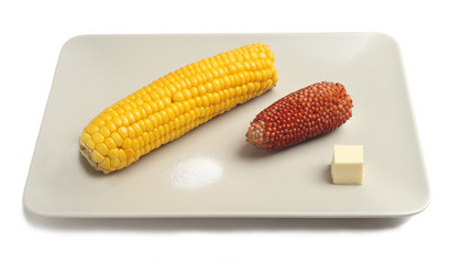 Grilled corn served with butter and salt on the gray plate.