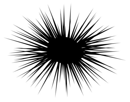 Seeigel